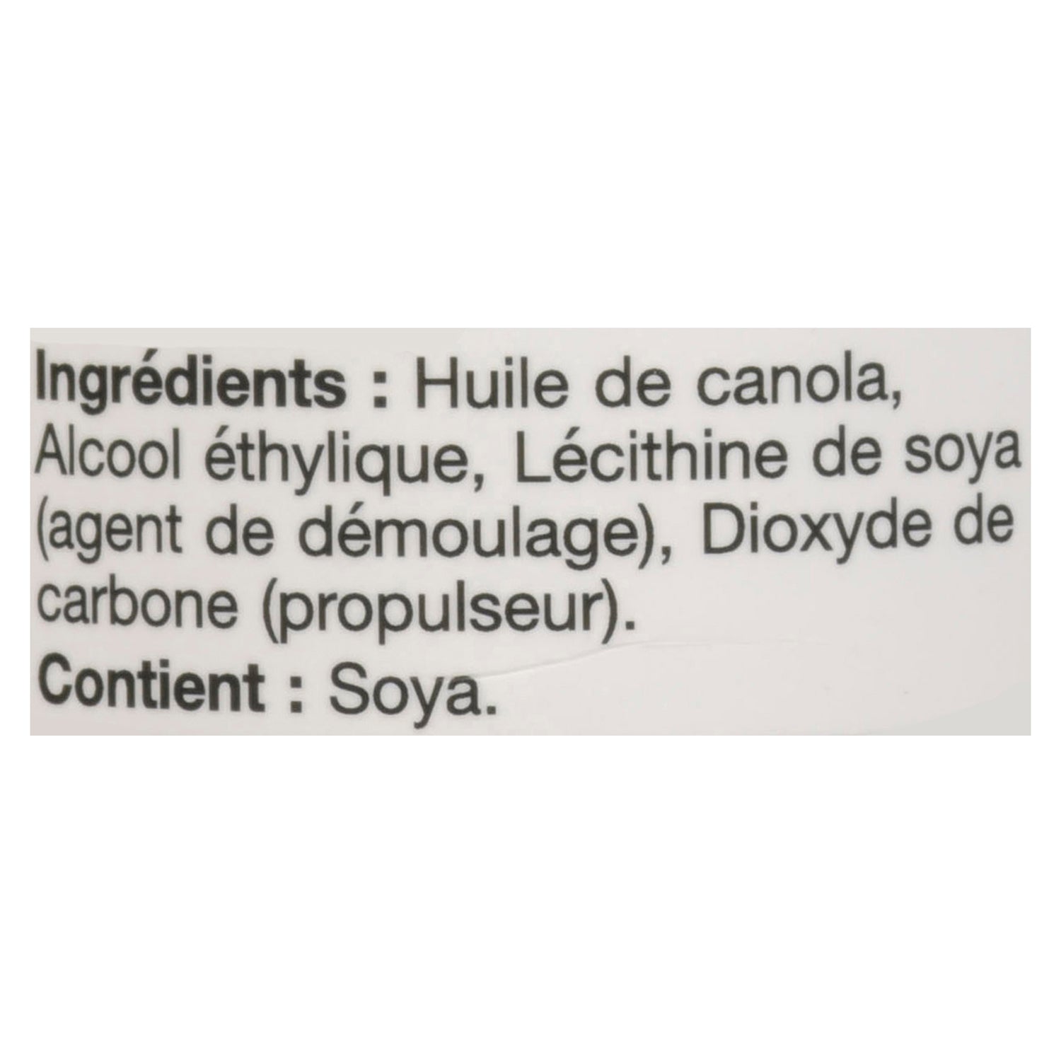 PAM NoStick Cooking Spray Air Fryer, 141 g Giant Tiger