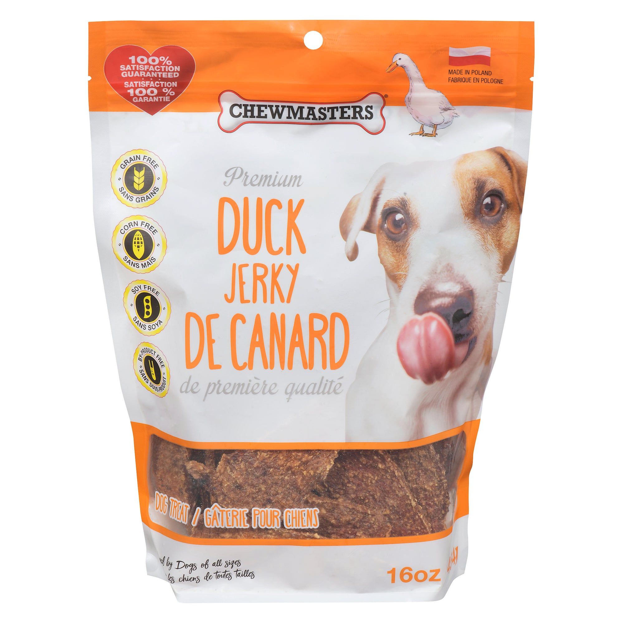 Chewmasters Dog Treat Premium Duck Jerky, 454 g – Giant Tiger