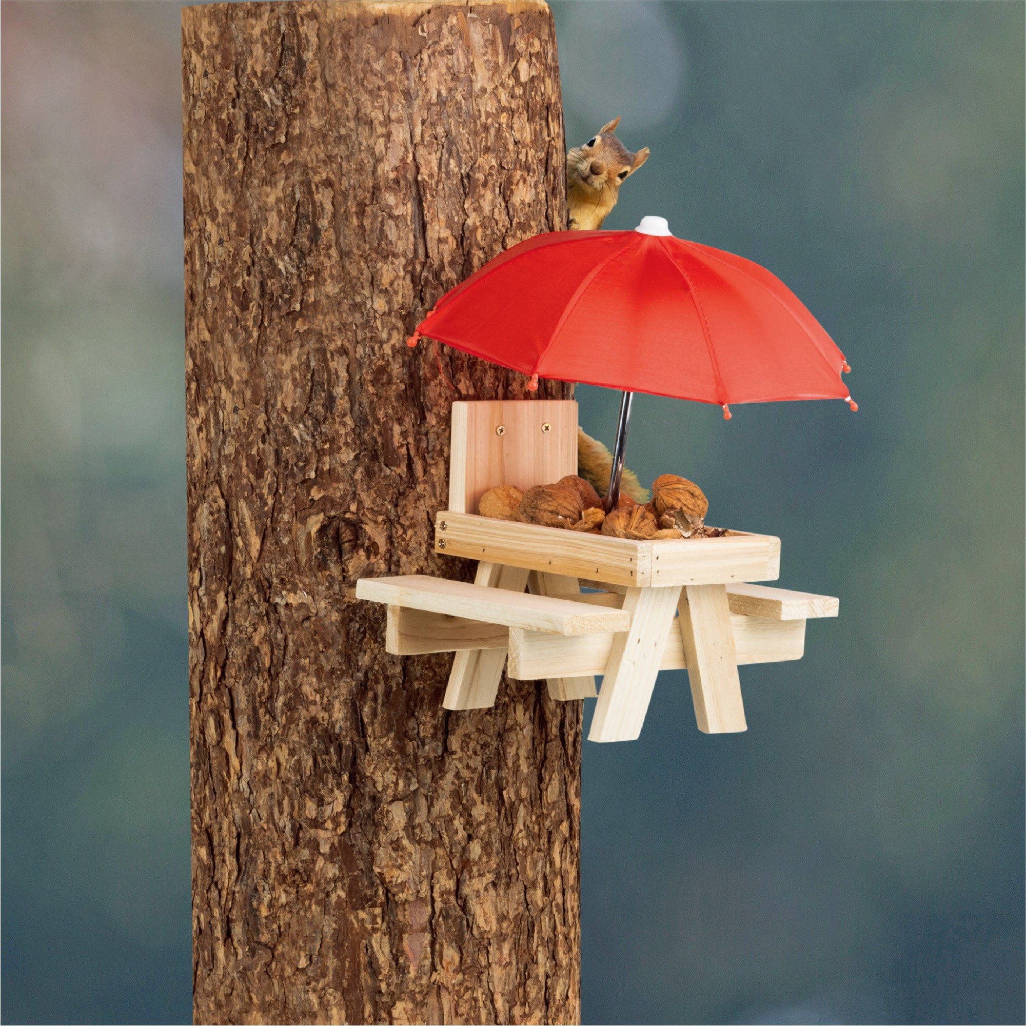 Squirrel Feeder with Umbrella Giant Tiger