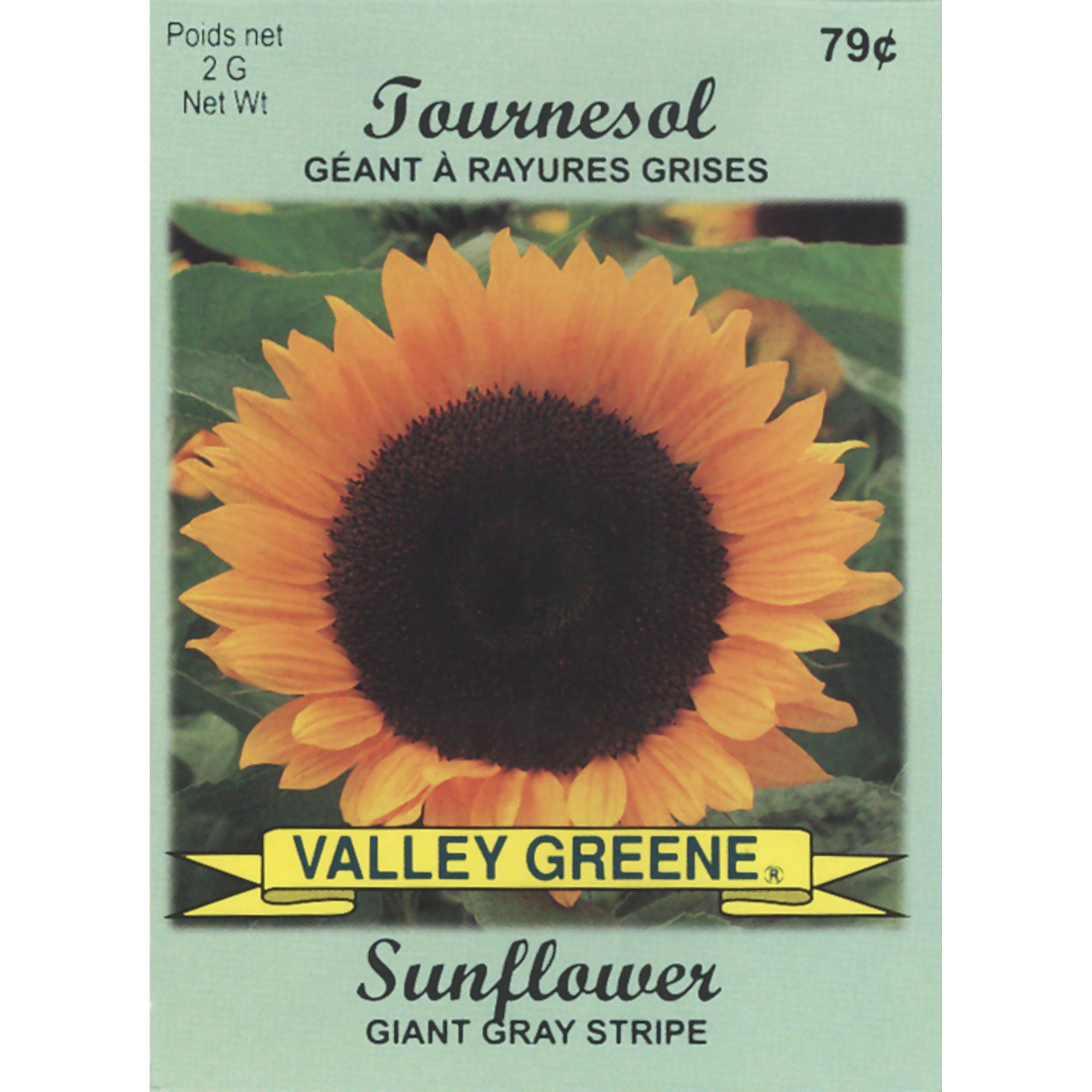 valley greene flower seeds Valley Greene Seeds – Giant Tiger