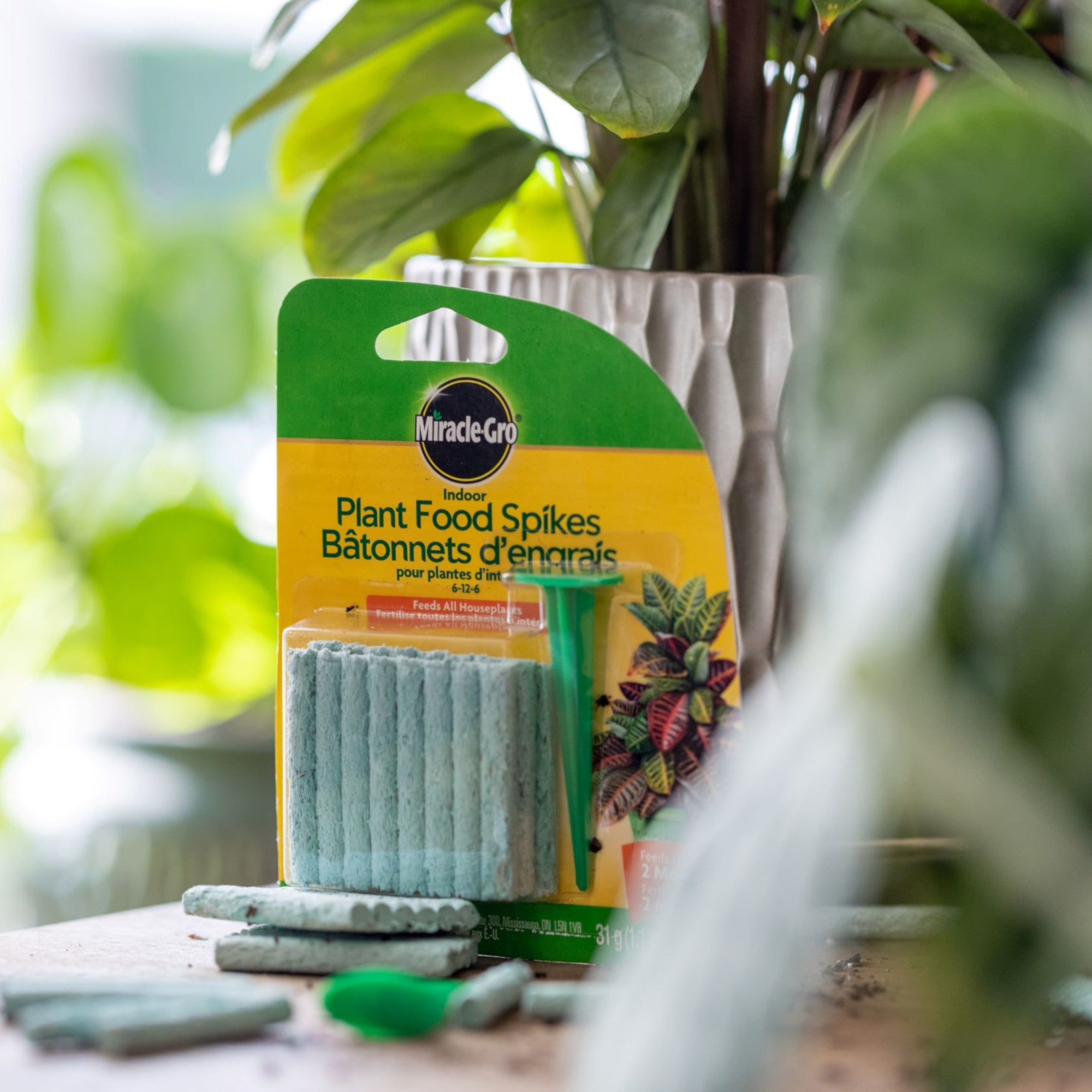 miracle-gro plant food spikes for succulents Miracle Grow Indoor Plant Food Spikes, 24 Pack – Giant Tiger