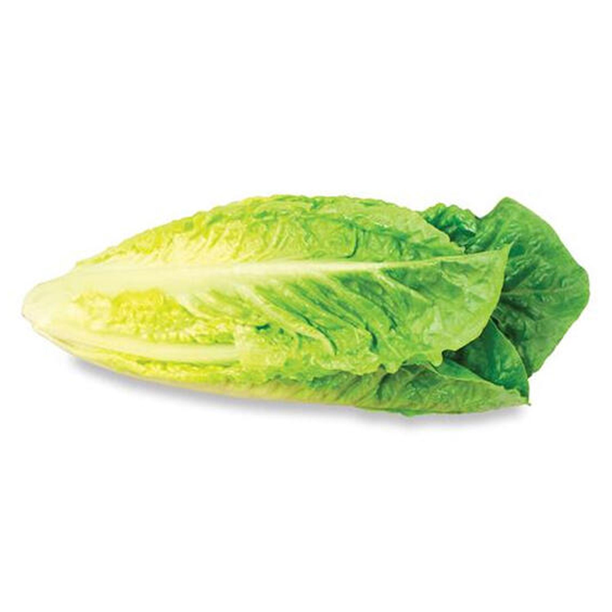 Romaine Lettuce Hearts, 3Pack Giant Tiger