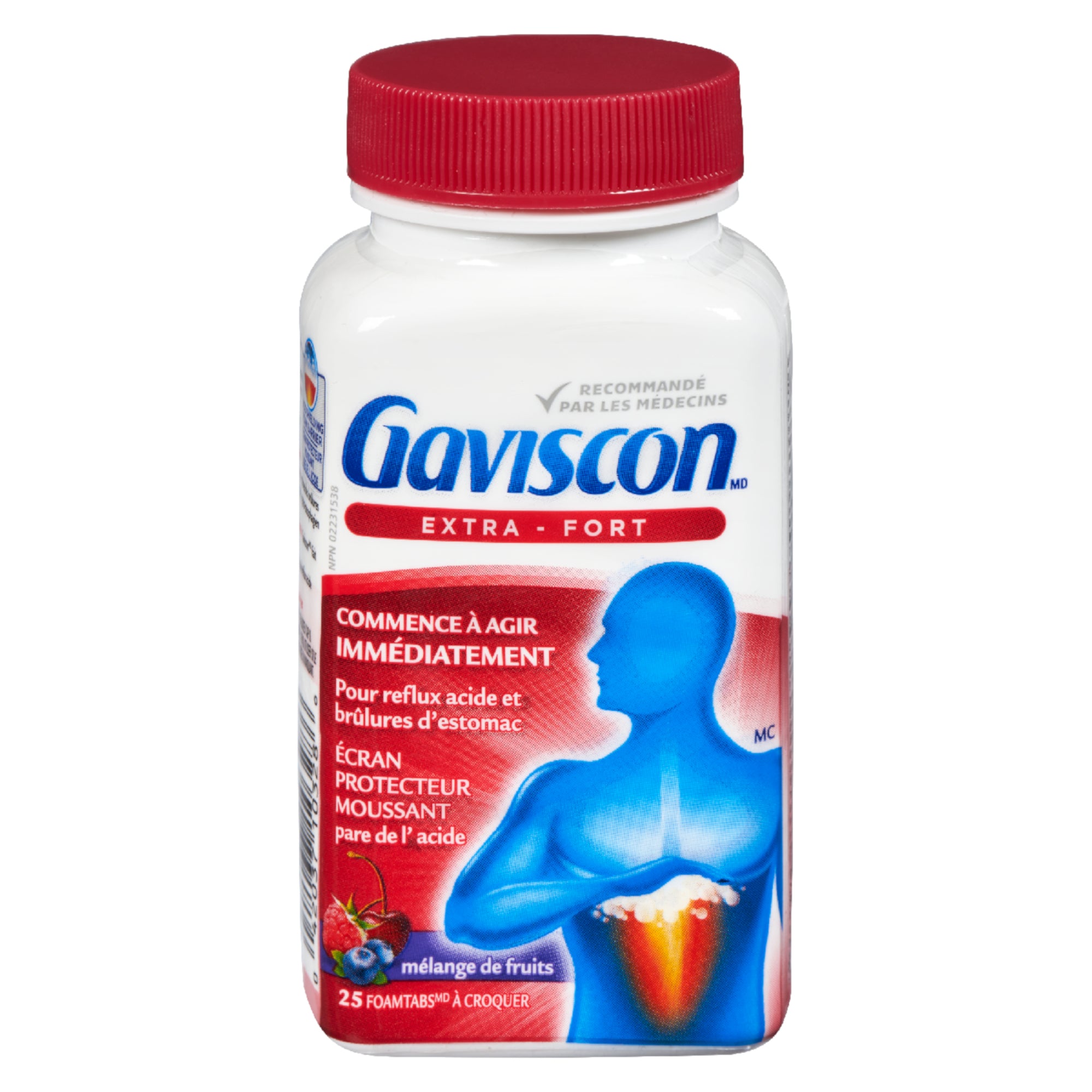 Gaviscon Extra Strength Antacid Fruit Tablets, 25Pack Giant Tiger