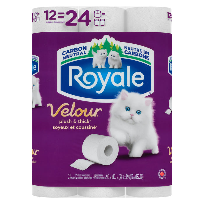 Royale Velour Plush and Thick 2-Ply Double Paper Towel Rolls, 12-Pack