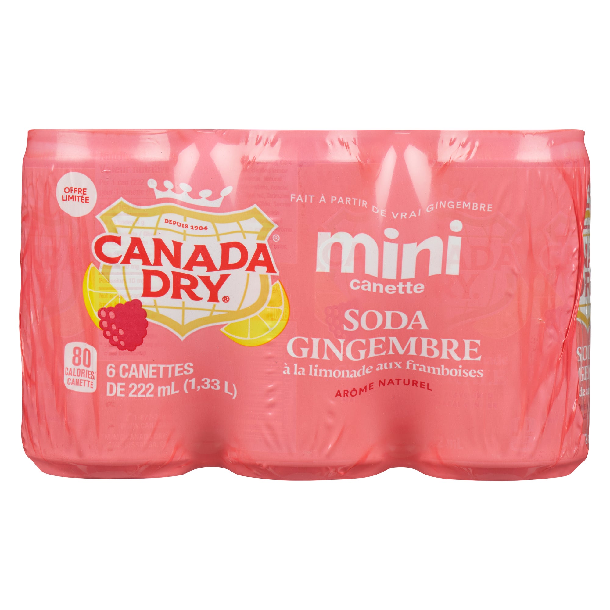 Canada Dry Raspberry Lemonade Ginger Ale Mini, 6-Pack – Giant Tiger