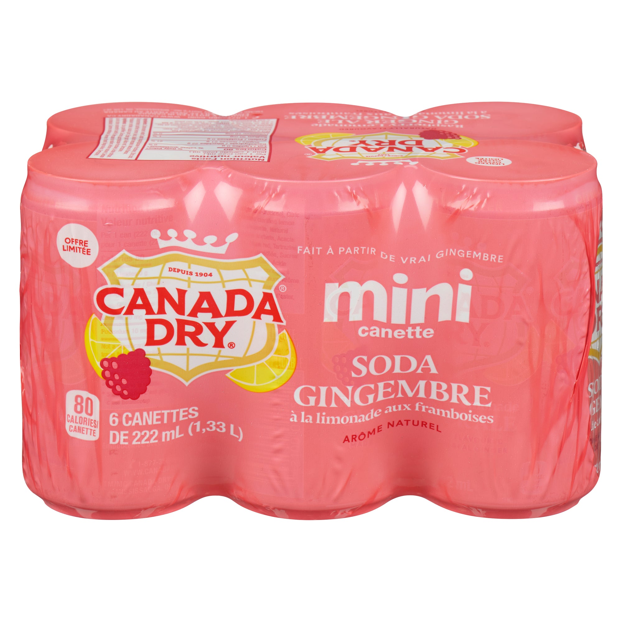 Giant Tiger Raspberry Canada Dry Raspberry Lemonade Ginger Ale Mini Can, 6-Pack, 222 ml ...
