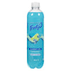 Fruit₂O Boisson d'Eau Pétillante Aromatisée Bleuet Lime, 502 ml