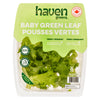 Haven Greens Baby Lettuce, 113 g