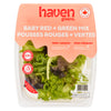 Haven Greens Green & Red Leaf, 113 g