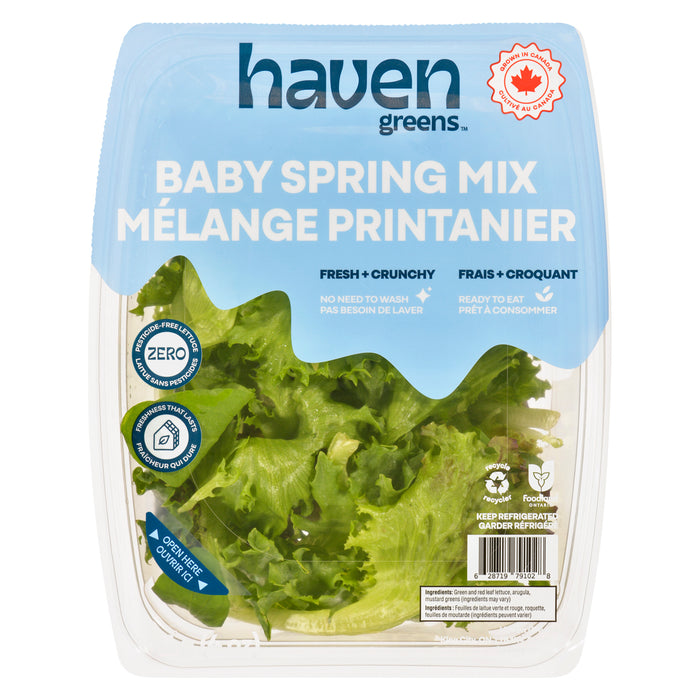 Jeunes pousses de printemps Haven Greens, 113 g