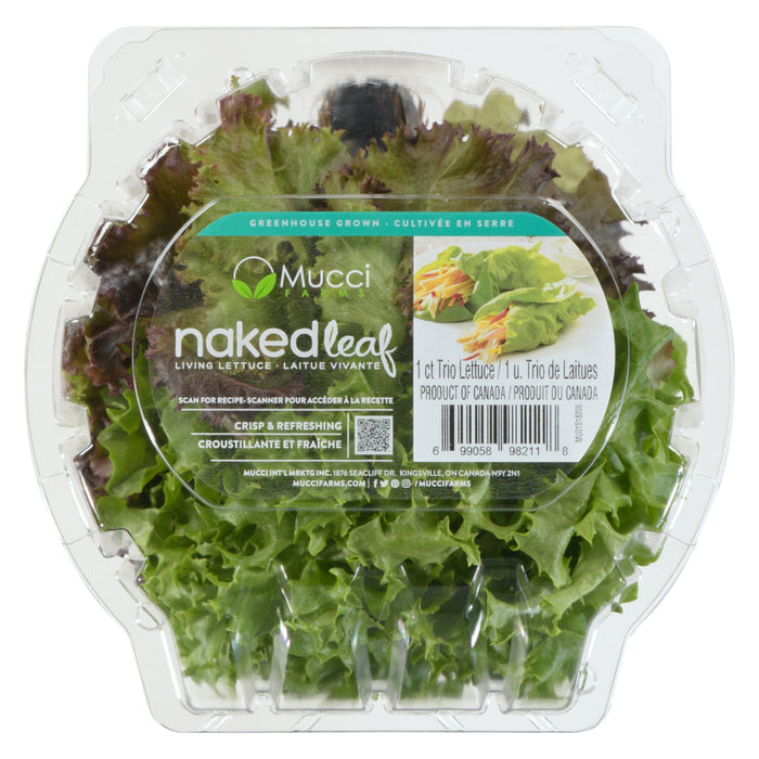 Mucci Farms Naked Leaf Laitue Vivante