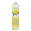 Fruit₂O Flavoured Sparkling Water Beverage Plus Lemon, 502 ml