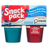 Snack Pack Raspberry and Mixed Berry Juicy Gels 4pk. - 396g