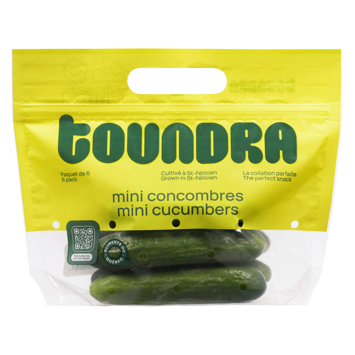 Mini Cucumbers, 6-Pack