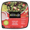 Attitude Fraîche Salade Prête à Servir Mélange Printanier, 143 g