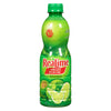 ReaLime Lime Juice, 440 ml