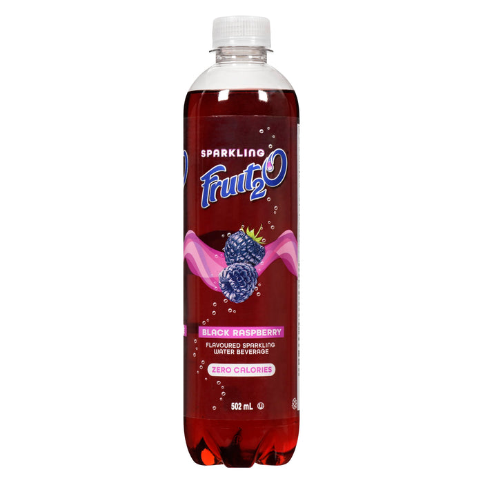 Fruit₂O Boisson d'Eau Pétillante Aromatisée Framboise Noire, 502 ml