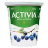 Yogourt bleuet probiotique Activia 2,9 % M.G. - 650 g