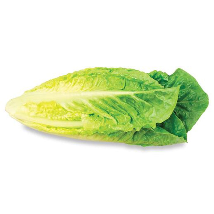 Romaine Hearts, 3-Pack