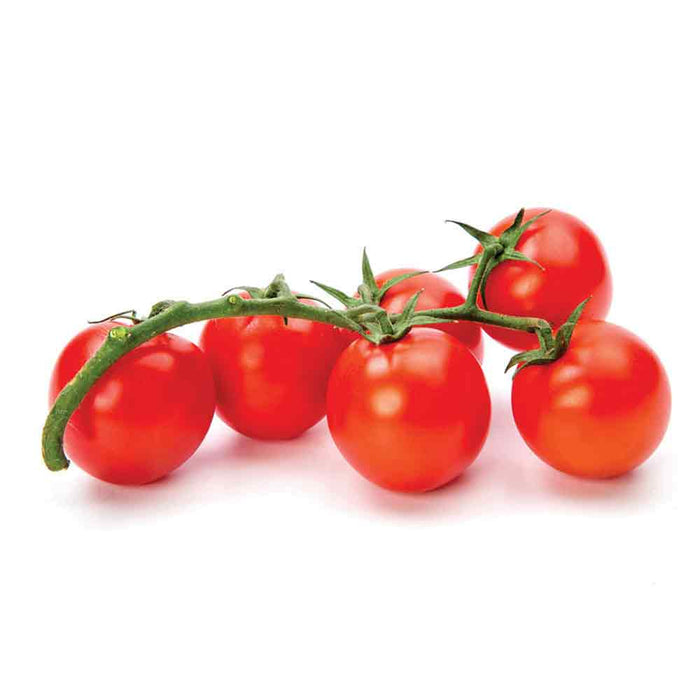 Mucci Farms Tomates Cerises Sucrées