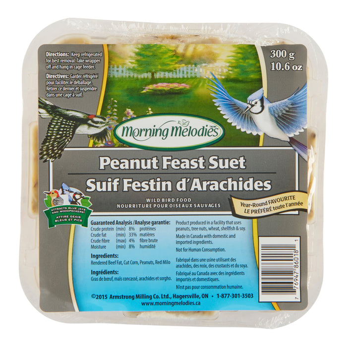 Morning Melodies Peanut Fest Suet Wild Bird Food, 300-g