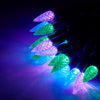 Danson Décor Jewel 40 LED C6 String Lights, 2.48-m