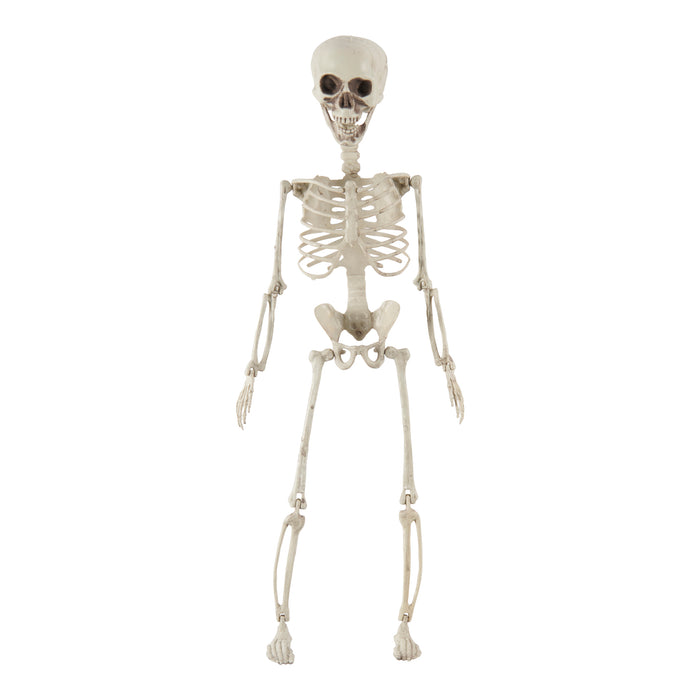 Squelette articulé suspendu – 28 po