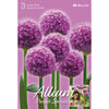 Fall Flower Bulbs