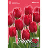 Tulip Bulbs