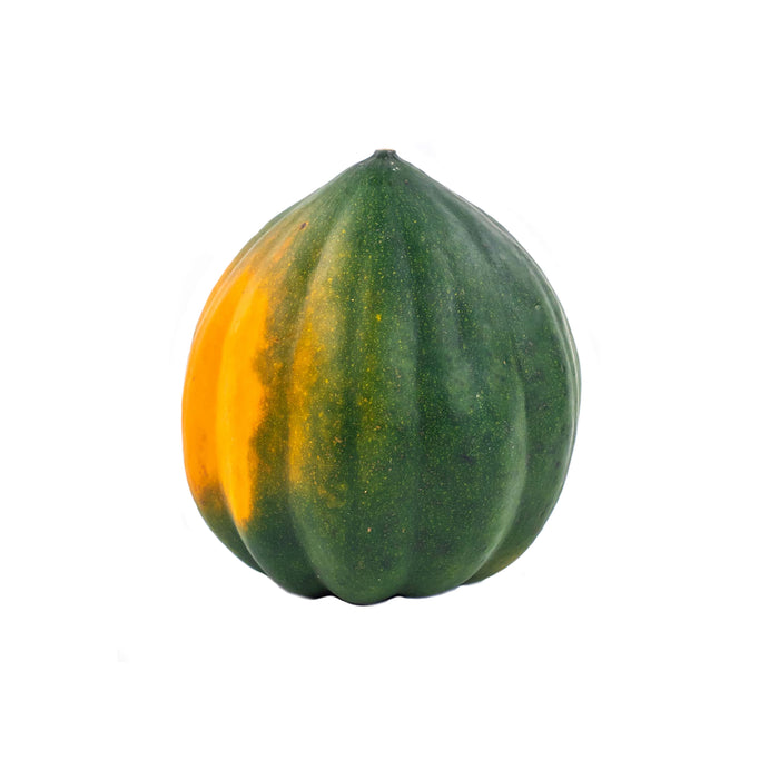 Pepper Squash, Single