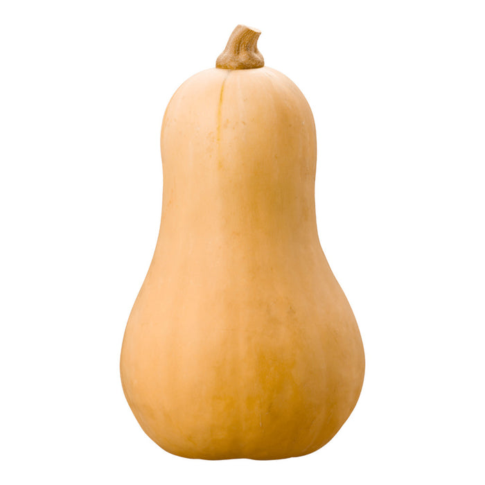Courge musquée