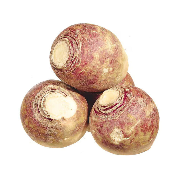 JPL Maraîcher Turnips Small, 2.27 kg