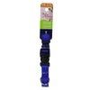 Collier réglable pour petits chiens Pet Attire - bleu, 18 po