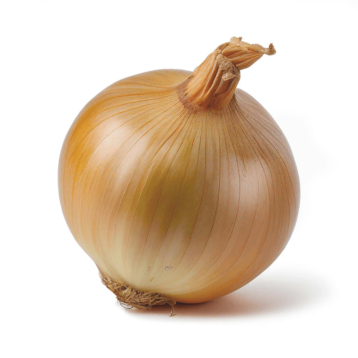 Spanish Sweet Onions
