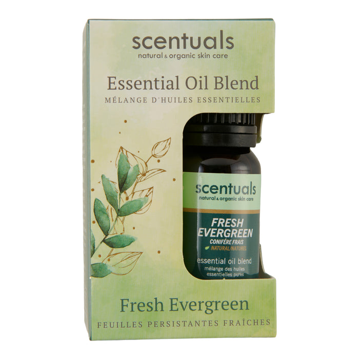 Huile essentielle conifère frais Scentuals, 10 ml