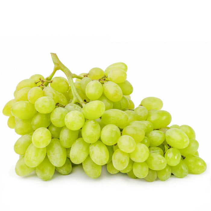 Raisins verts sans pépins - 1.5 lb
