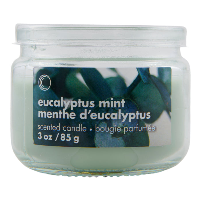 Eucalyptus Mint Jar Candle, 3-oz