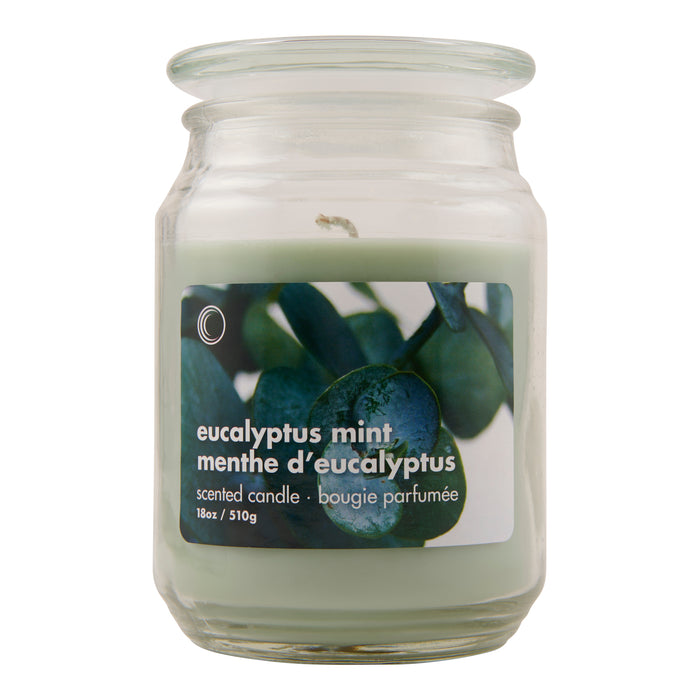 Eucalyptus Mint Jar Candle, 18-oz
