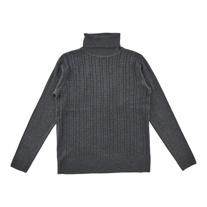 Women's Solid Turtleneck Sweater