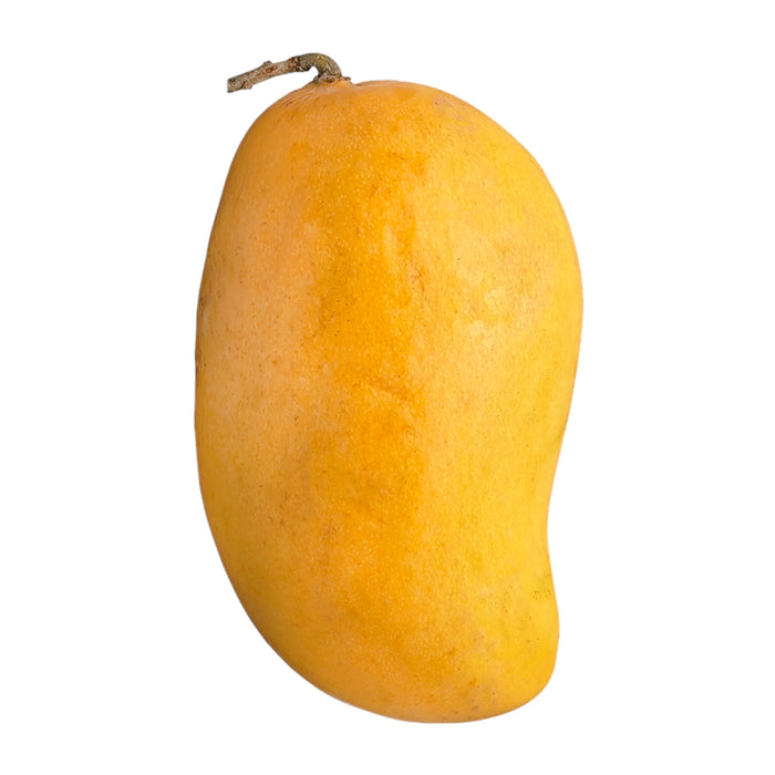 Mangue