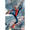 Assorted Graphic Novels and Comic Books