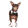 Bow Tie and Cuffs Set for Dogs, XS/S