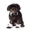 Ensemble nœud papillon et manchettes pour chiens, taille M/L