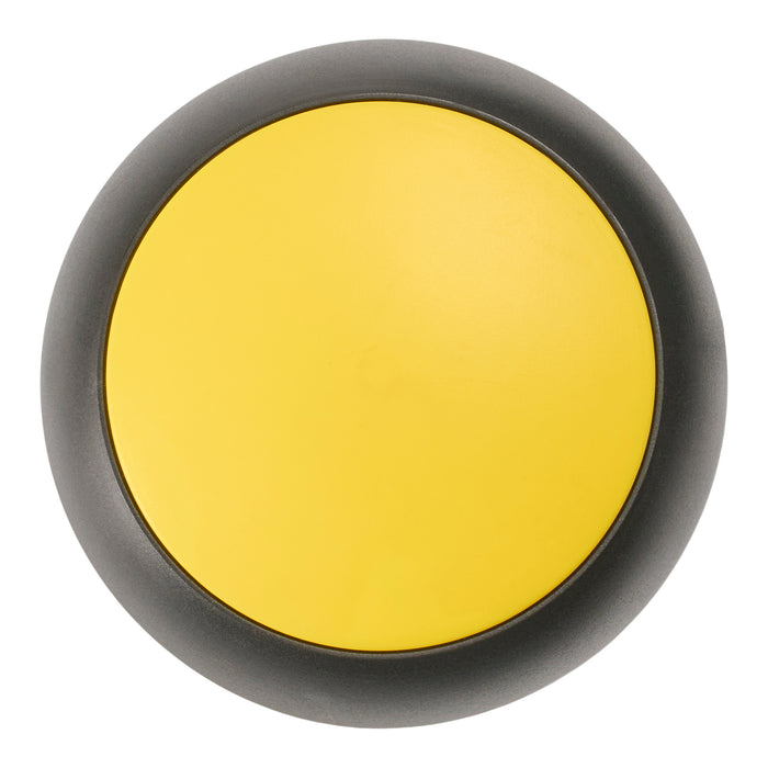 Giant Value Recordable Training Button