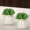 HomeStyles Faux Greenery In Ceramic Pot, 5.5-in x 7-in.