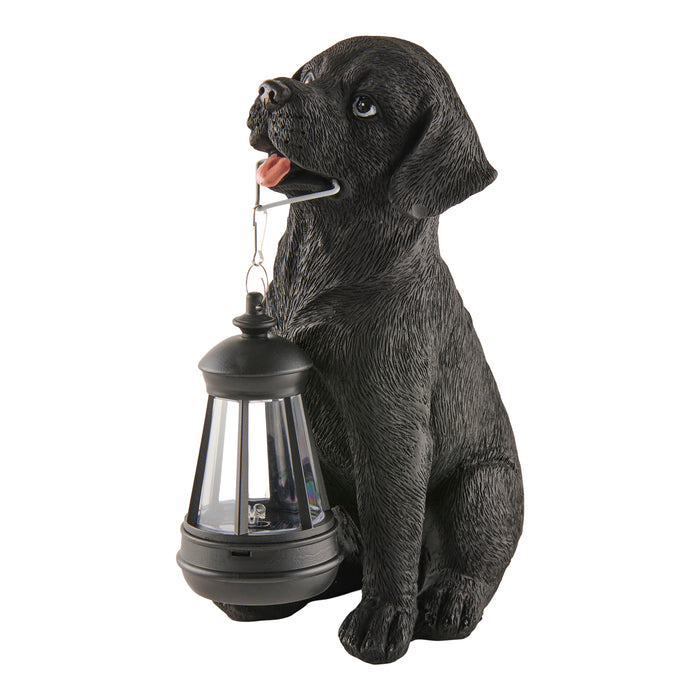 Solar Resin Dog Décor, 6-in x 9-in x 9.5-in.