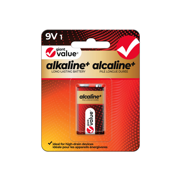 Giant Value 9V Alkaline Battery, 1 Pack