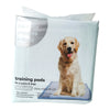 Regular Training Pads, 100-Pack