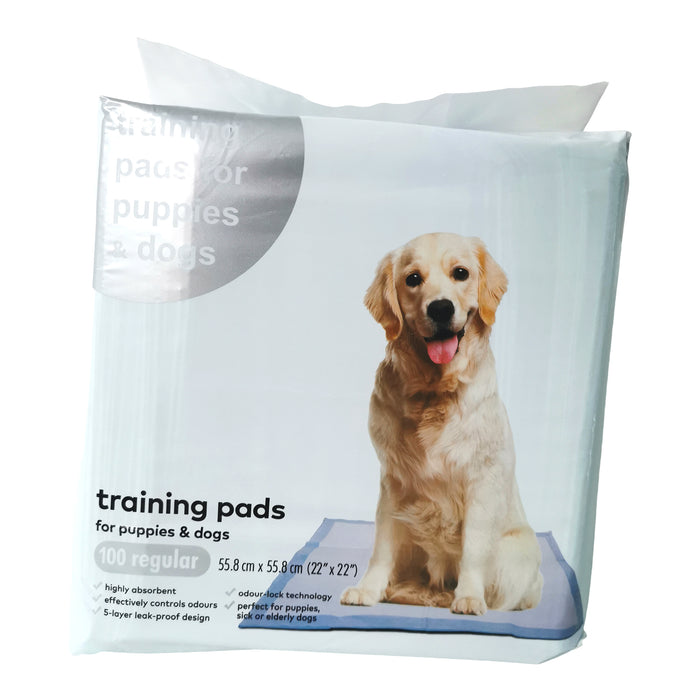 Regular Training Pads, 100-Pack