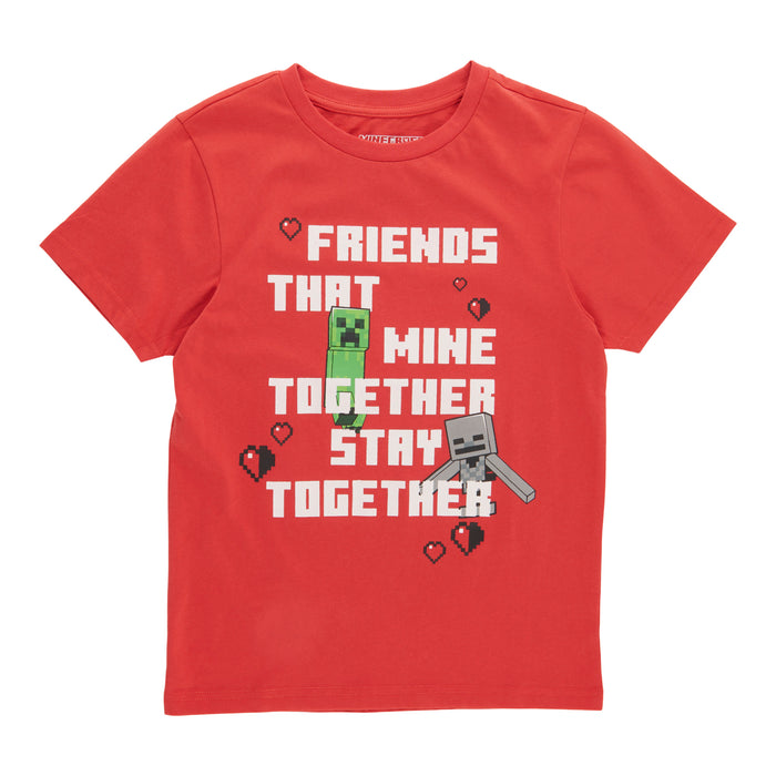 Boys' Licensed Novelty Minecraft Short Sleeve Printed T-Shirt